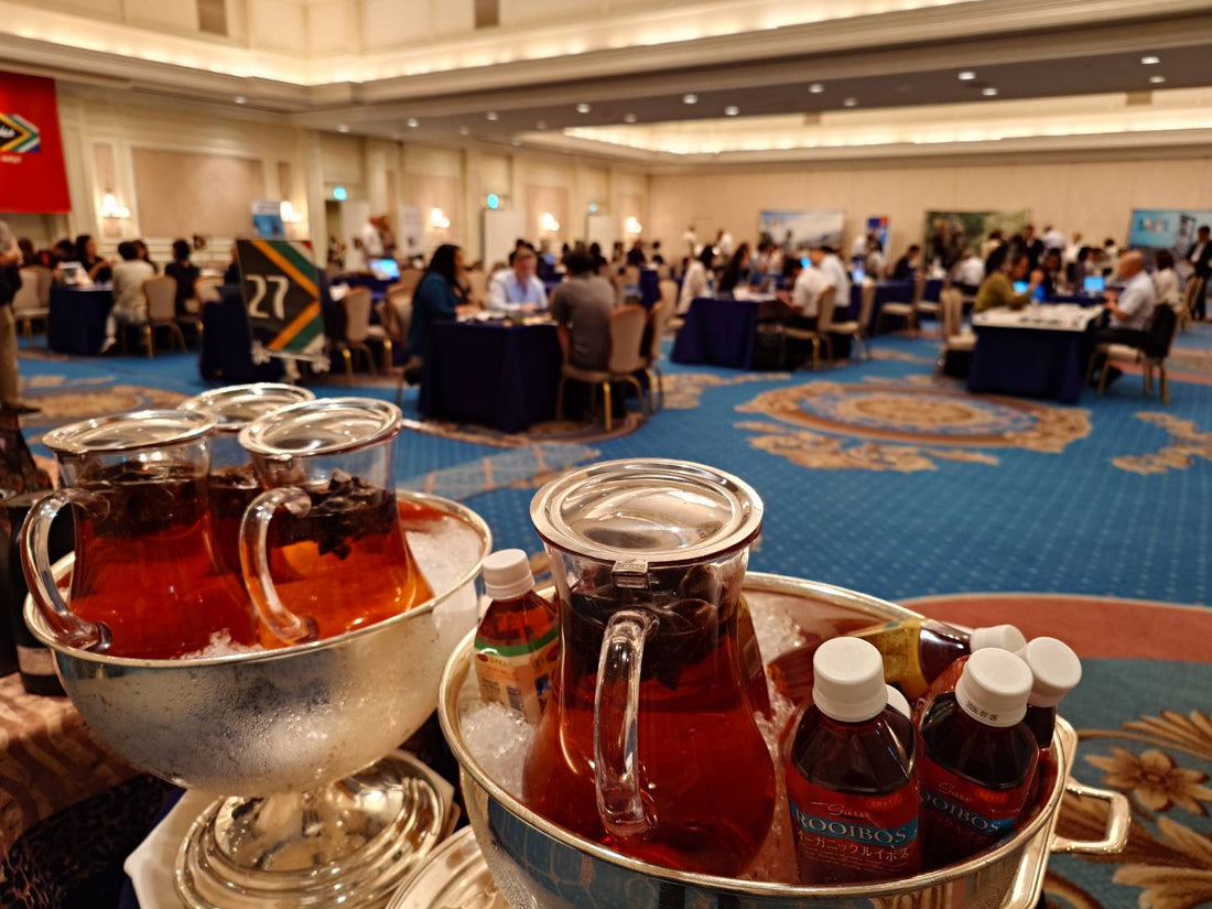 【イベント報告】南アフリカ観光局トレードワークショップ