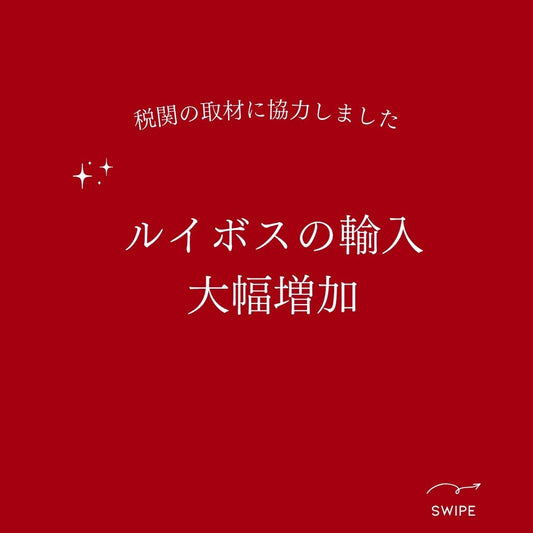 【ルイボス輸入量が増加】名古屋税関