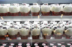 銀座コージコーナー「世界のカップデザートフェア」に出品しました