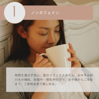 オーガニックルイボスティー発酵タイプ15個入（1.8g×15個）