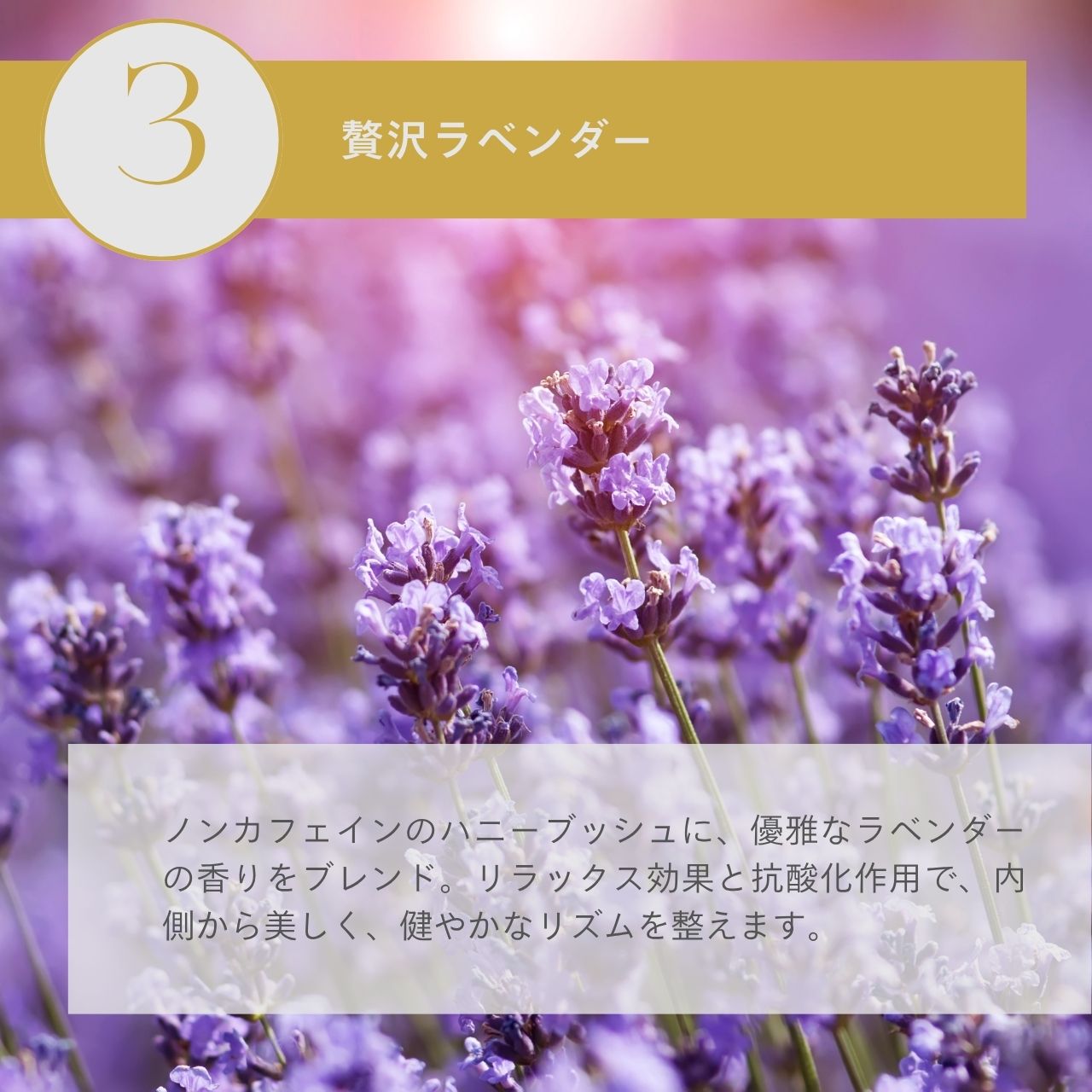 ラベンダーハニーブッシュティー30個入（1.8g x 30個）