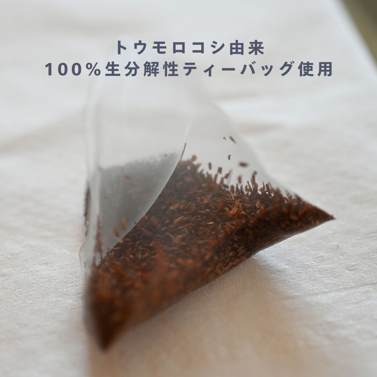 【オススメ】定番人気お試しセット（送料無料）