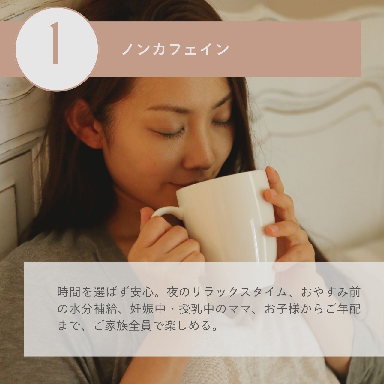 全種類コンプリートセット（送料無料）