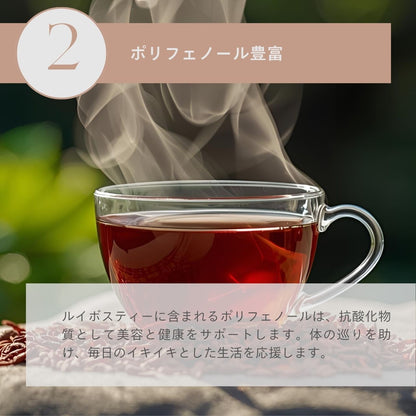 全種類コンプリートセット（送料無料）