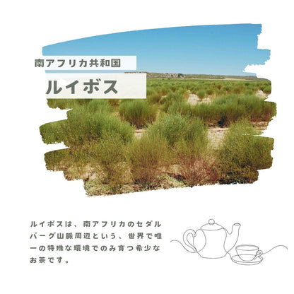 オーガニックルイボスティー発酵タイプ30個入（1.8g×30個）
