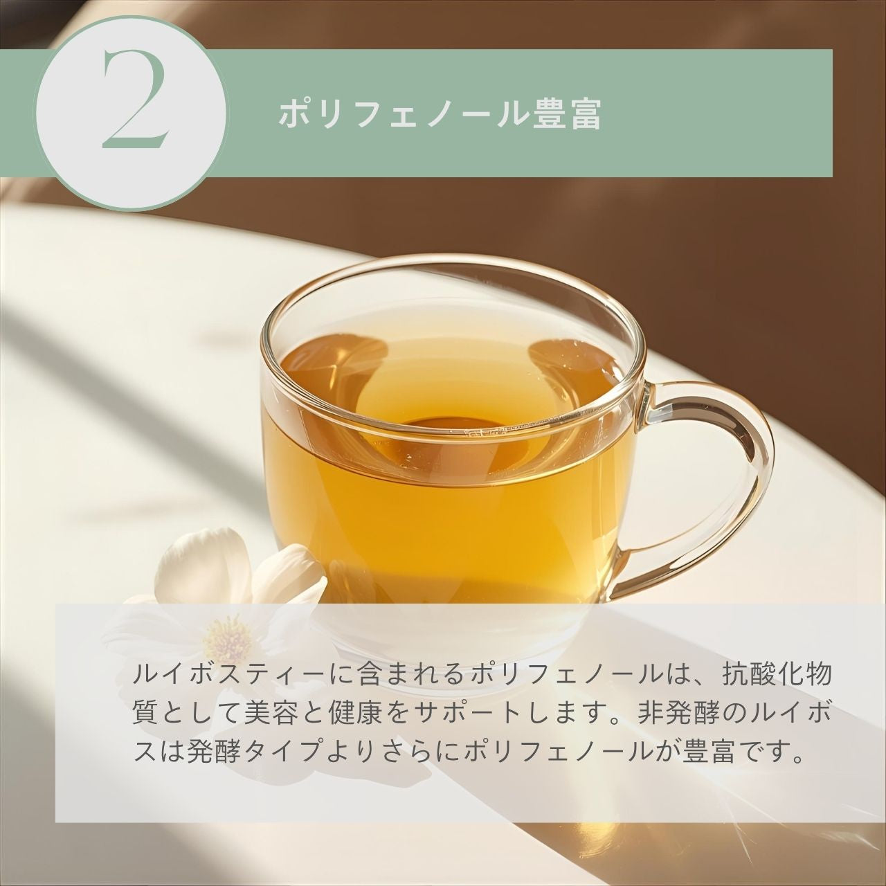 オーガニックルイボスティー非発酵タイプ30個入（1.5g×30個） – ガスコ