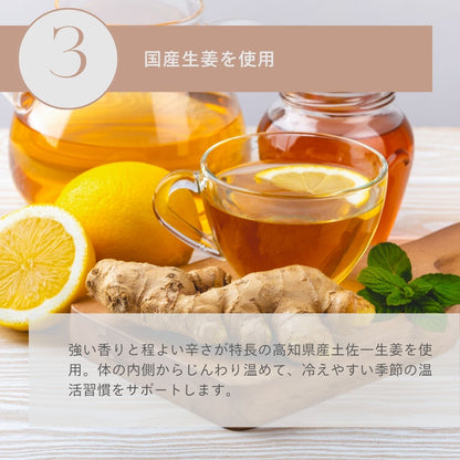 ジンジャールイボスティー15個入（2gｘ15個）