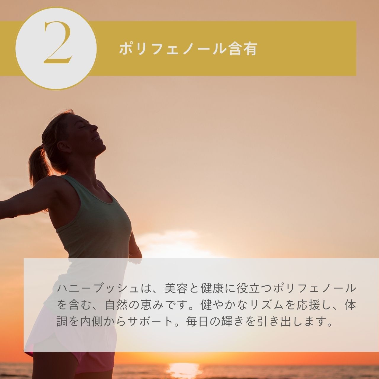 オーガニックハニーブッシュティー15個入（1.8gｘ15個）