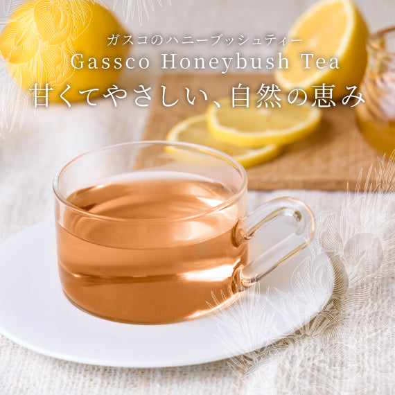 ルイボスティー＆ハニーブッシュティー専門店【ガスコ】 – ガスコ